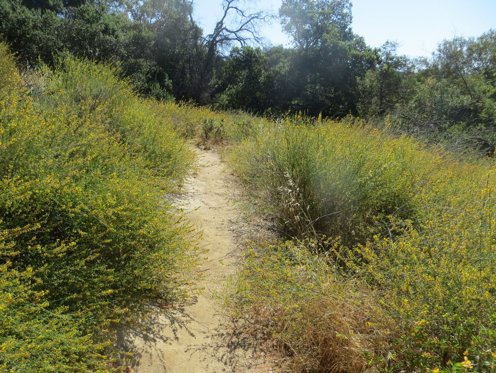 Trippet Ranch, Eagle Rock, Hub Junction, and Musch Trail – Simi Trail ...